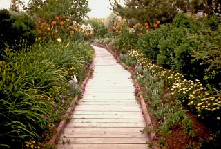 Hereford Inlet Lighthouse Gardens