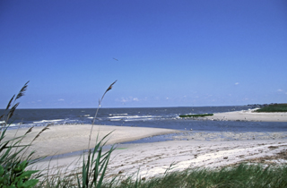 Kimbles and Cooks Beaches