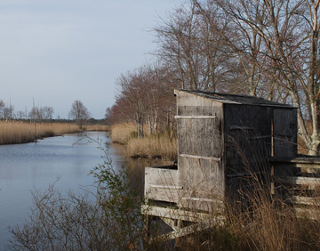 Bird Blind at Bear Creek Preserve