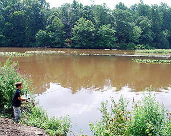 Fishing at Wallworth Park